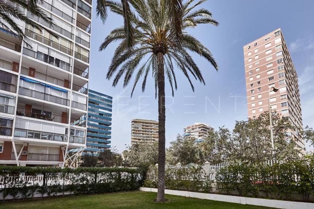 Beferent Arizona 2 Playa San Juan Daire Alicante Dış mekan fotoğraf